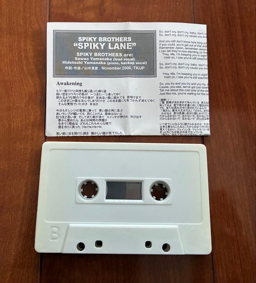 【レア】SPIKY LANE スパイキーブラザーズ（山中さわお兄弟ユニット）