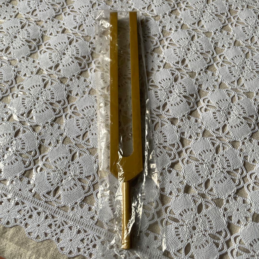 アキュトニクス　HI ohm 544.40Hz