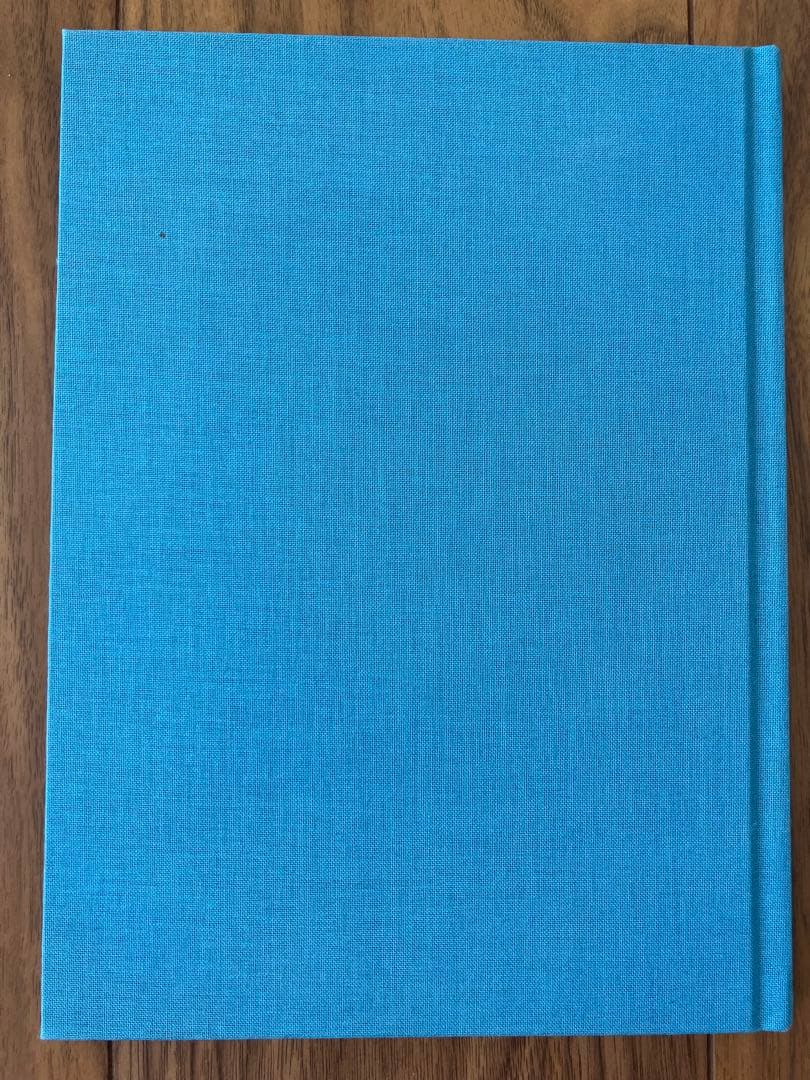 Ryan mcginley life adjustment center 美品