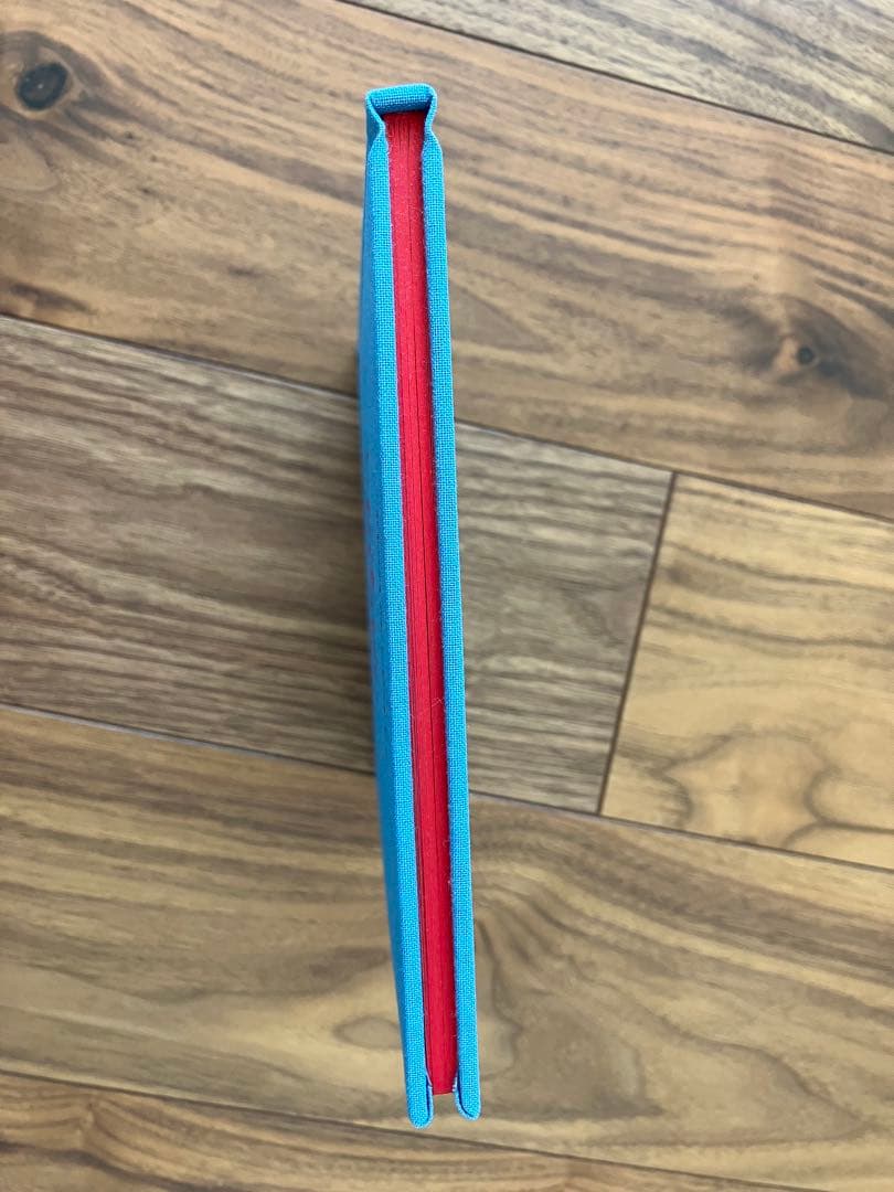 Ryan mcginley life adjustment center 美品