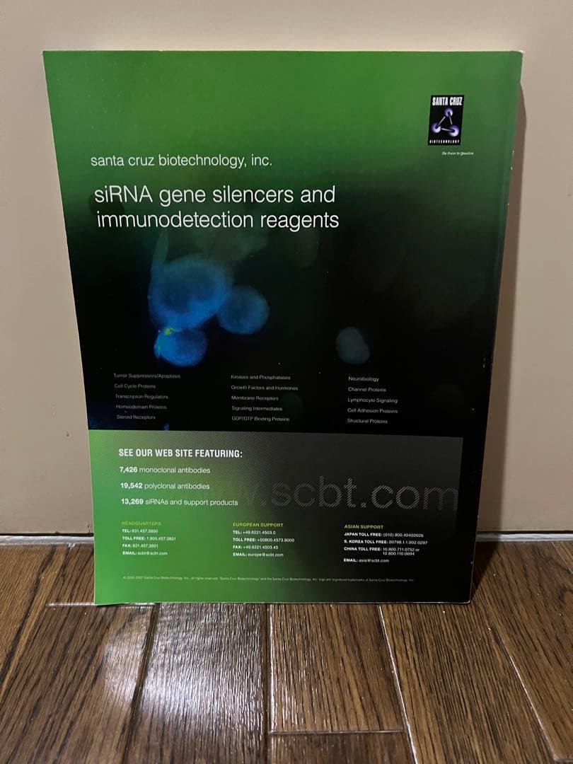 ♡ 荒木飛呂彦 表紙デザイン Cell セル スクラッパー ジョジョの奇妙な冒険