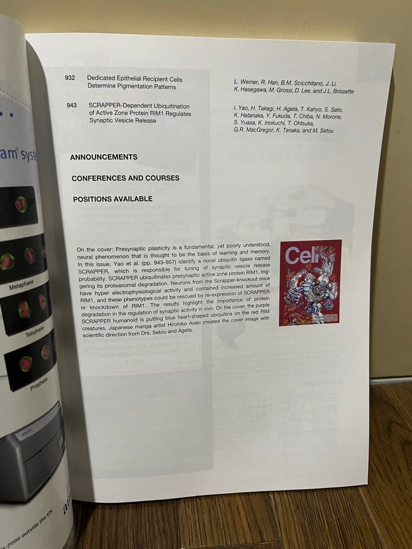 ♡ 荒木飛呂彦 表紙デザイン Cell セル スクラッパー ジョジョの奇妙な冒険