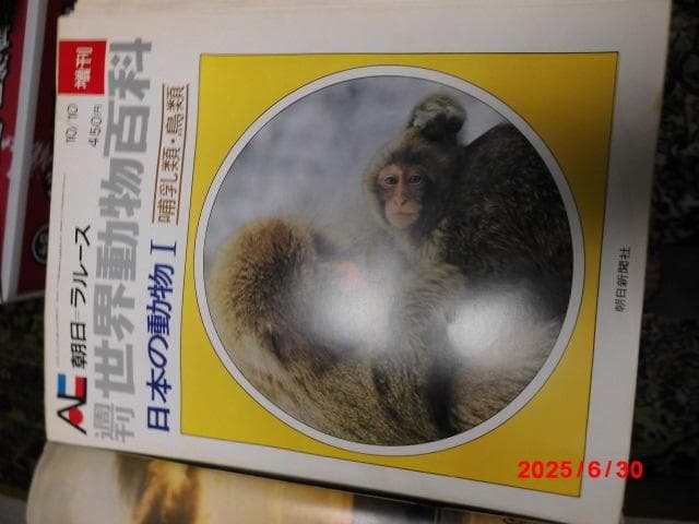 朝日世界動物百科 全13巻 セット