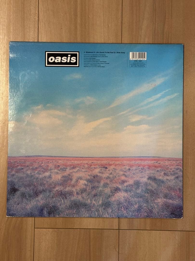 に*ん様 【来日記念出品】 oasis whatever DAMONT刻印 12