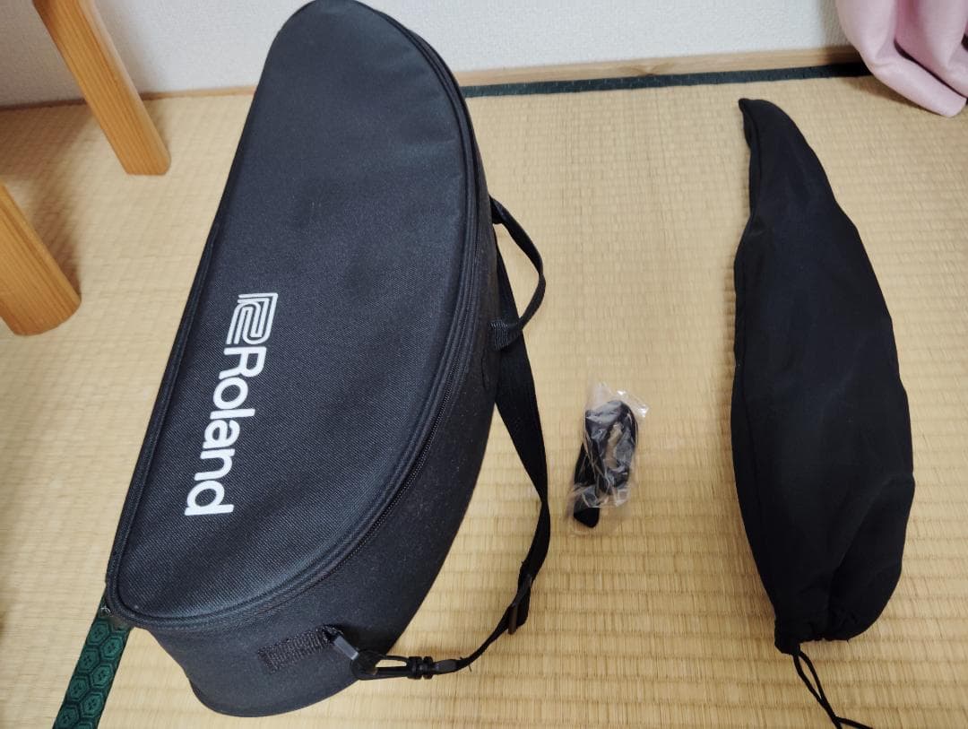 【値下げ】RolandのAerophone AE-10(ホワイト)　説明書有り