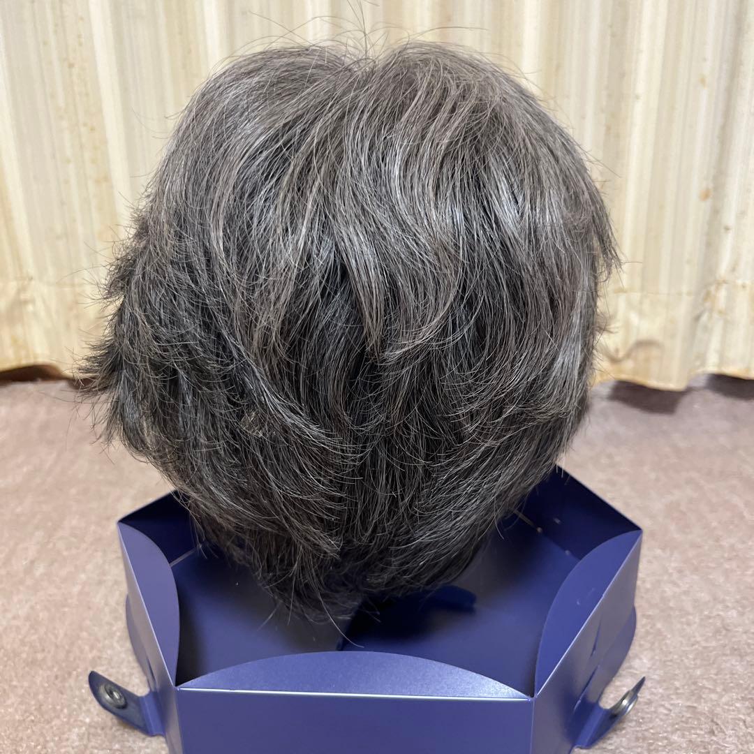 FONTAINE VALAN グレー ショートウィッグ