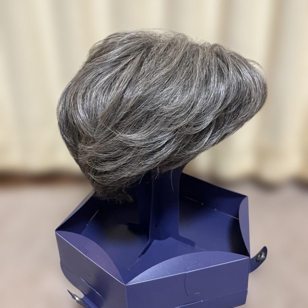 FONTAINE VALAN グレー ショートウィッグ