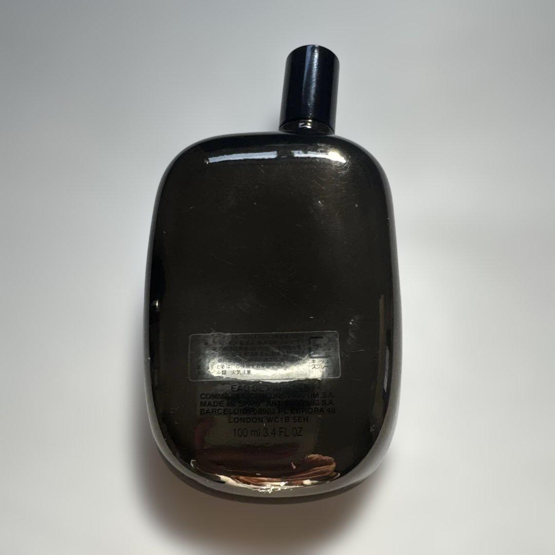 COMME des GARÇONS WONDERWOOD 香水 100ml