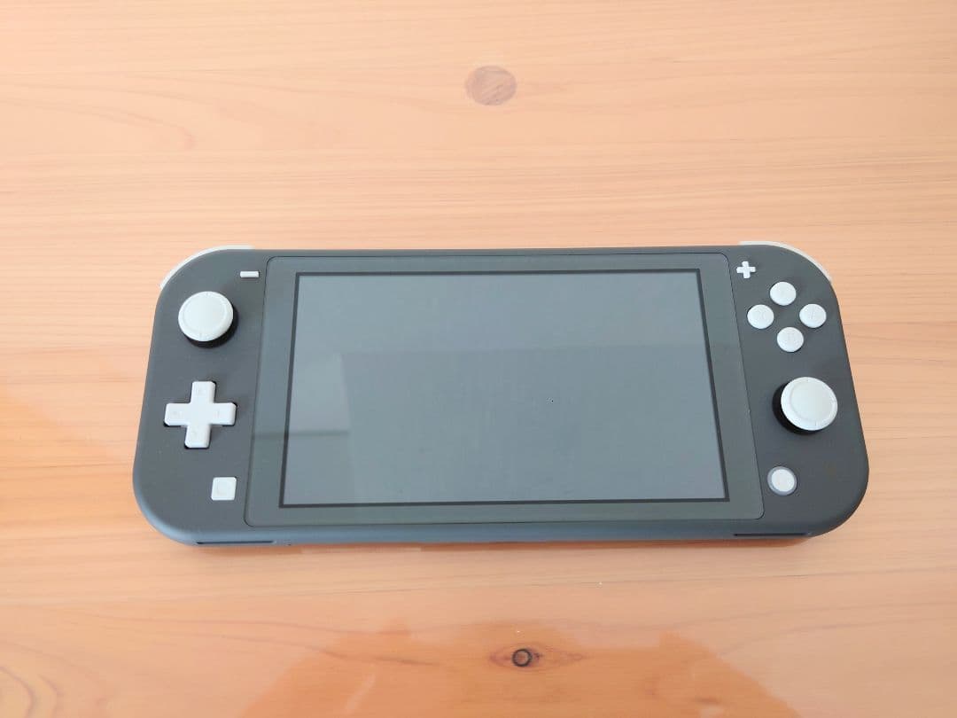 Nintendo Switch Lite 本体 グレー　純正充電器付き