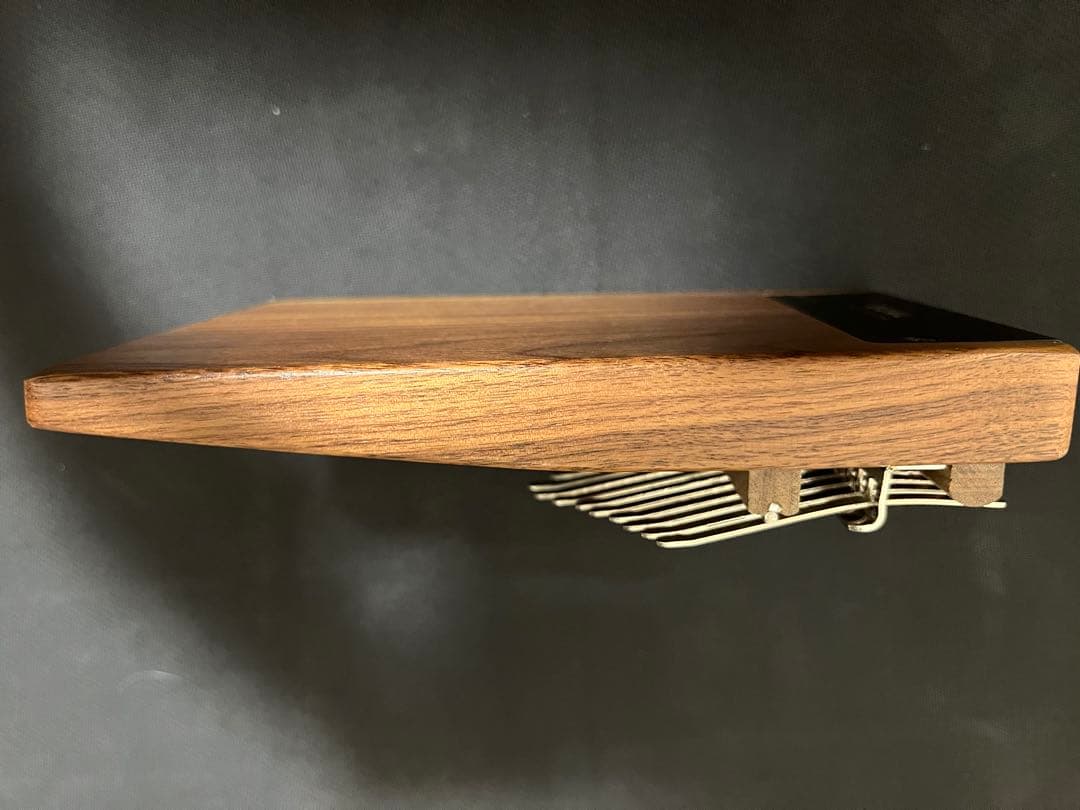 Dual Kalimba / デュアルカリンバ ケース、付属品あり