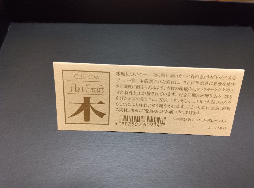 PILOT 木目調 万年筆 Bペン先 ケース付