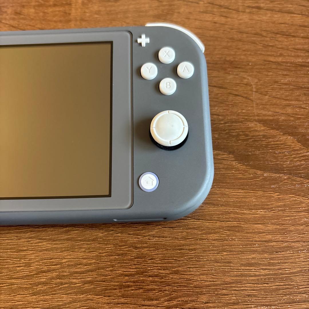 Nintendo Switch Lite グレー 本体　おまけ付き