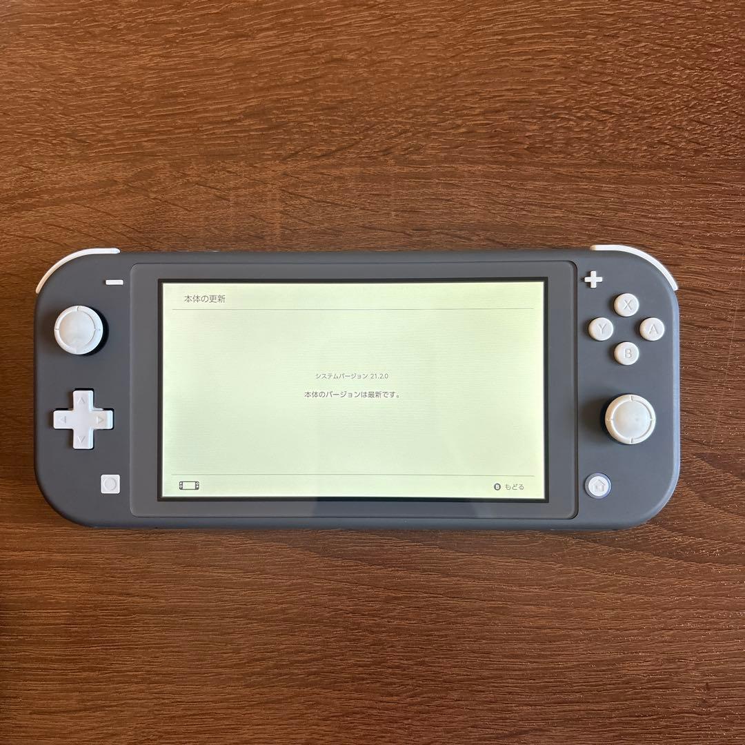 Nintendo Switch Lite グレー 本体　おまけ付き