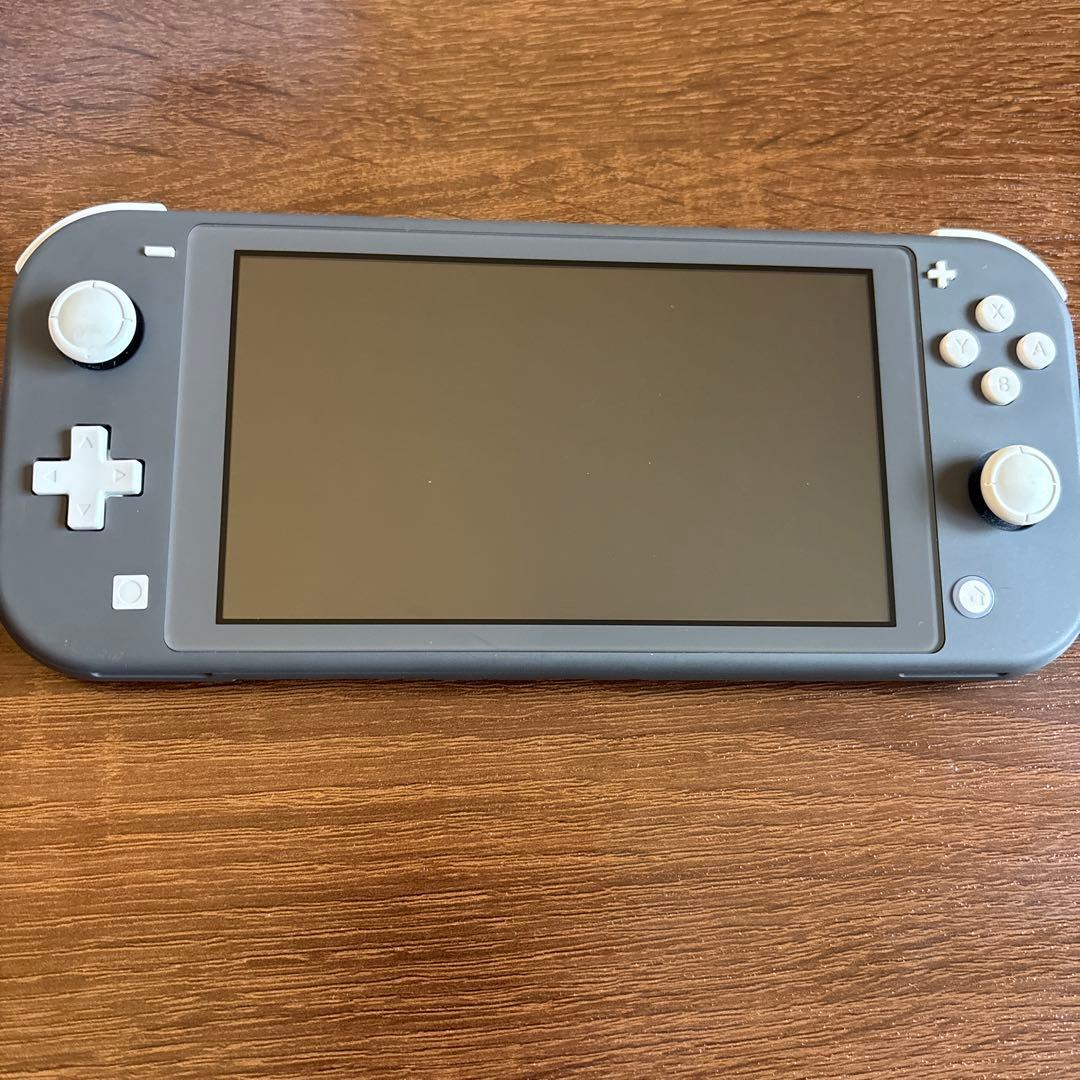 Nintendo Switch Lite グレー 本体　おまけ付き