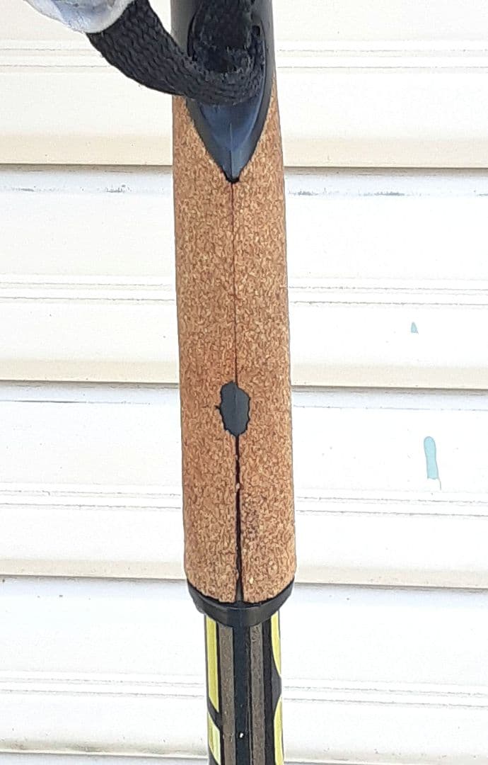 クロスカントリースキー　ポール　SWIX Star CT1