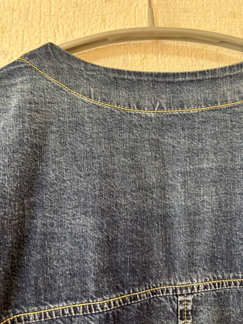 大人気！アヤン ayane バックフリルデニムシャツジャケット　新品未使用タグ付