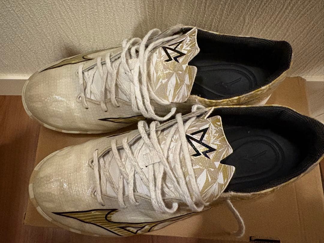 ミズノ 25.0cm アルファ プロ AS TF MIZUNO