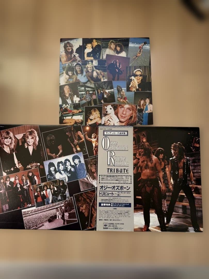 Ozzy Osbourne Randy Rhoads Tribute LP 帯付