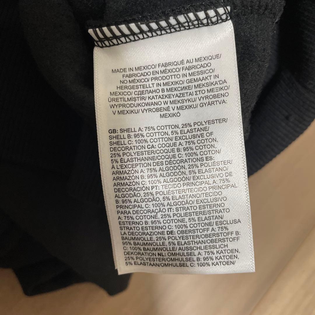 新品 US THE NORTH FACE スローバック パーカー M0086