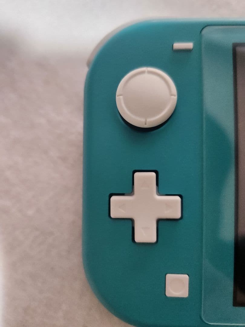 Nintendo Switch Lite ターコイズ ケース・保護フィルム付き