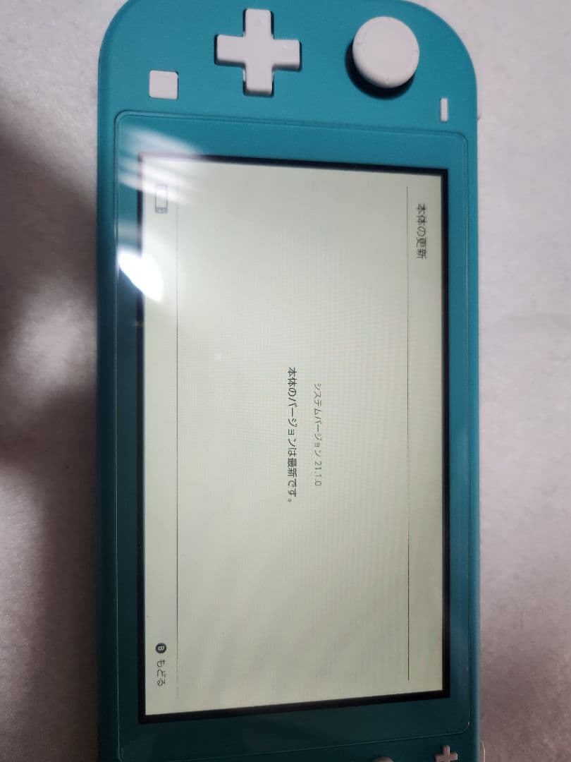 Nintendo Switch Lite ターコイズ ケース・保護フィルム付き