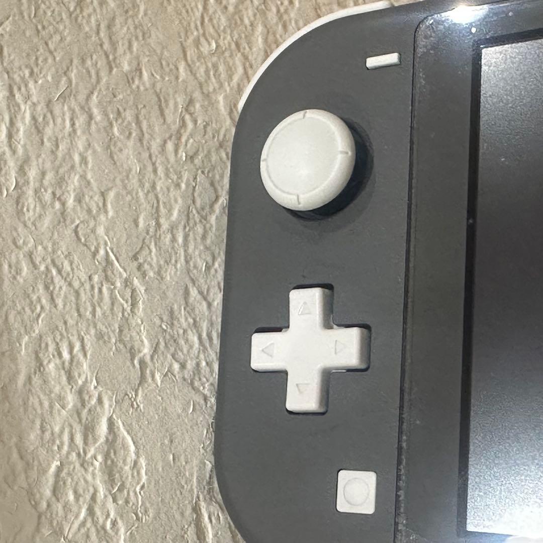 Switchライト本体+ケース・SDカード