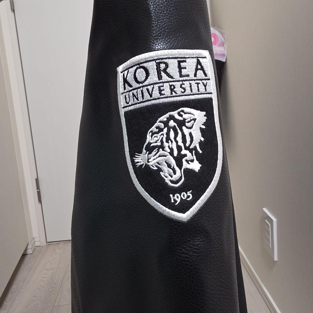 韓国　高麗大学　スタジャン　コリョデ