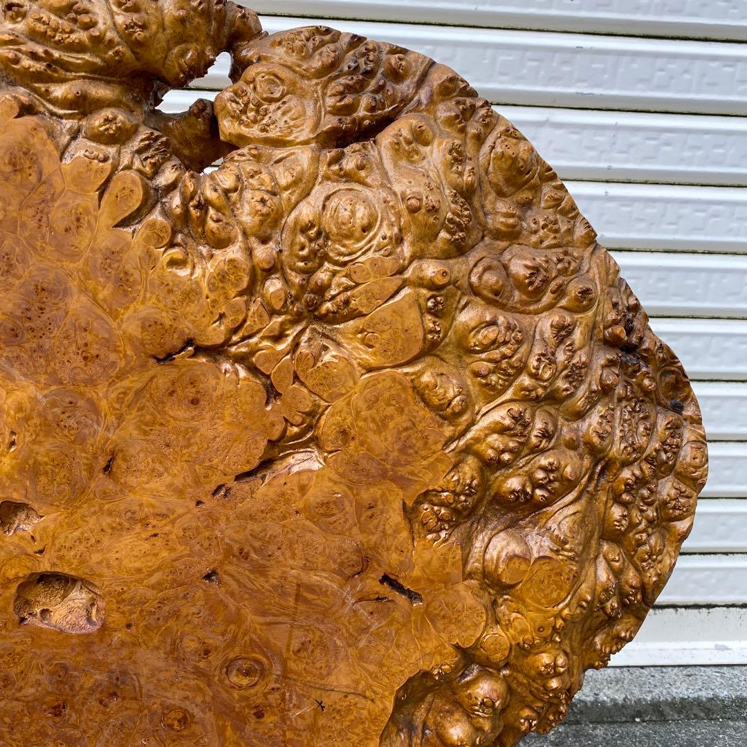 希少 玉杢 楓 瘤 衝立