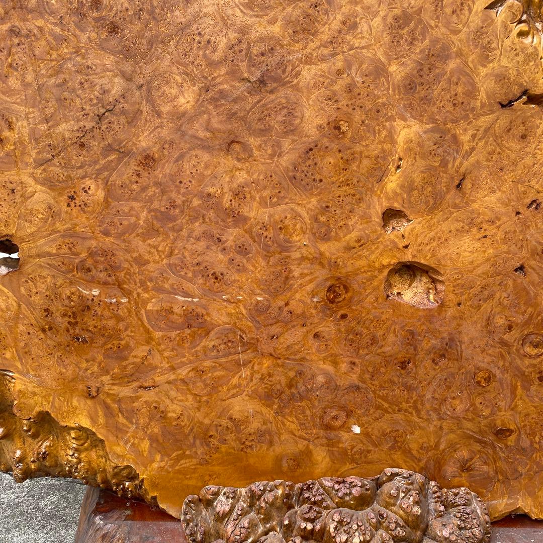 希少 玉杢 楓 瘤 衝立