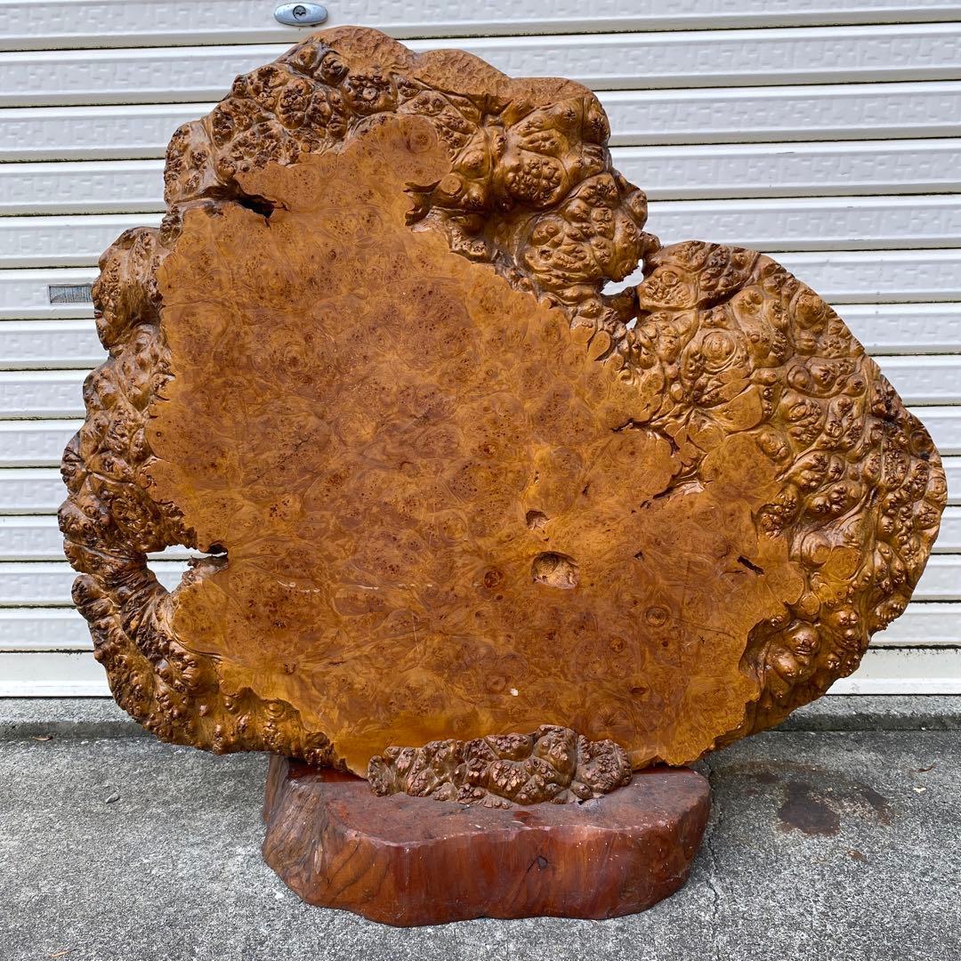 希少 玉杢 楓 瘤 衝立