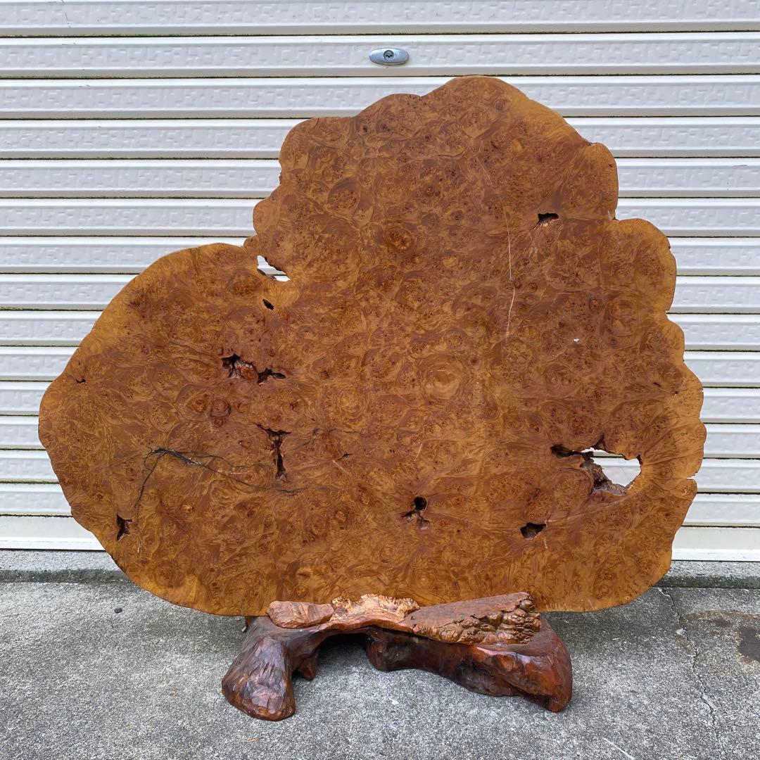 希少 玉杢 楓 瘤 衝立