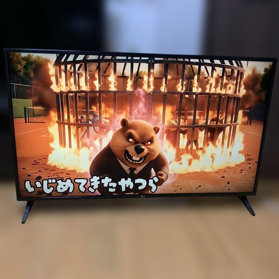 IPS 4K / BS・CS 4K 内蔵 2020 LG 49UM7100PJA