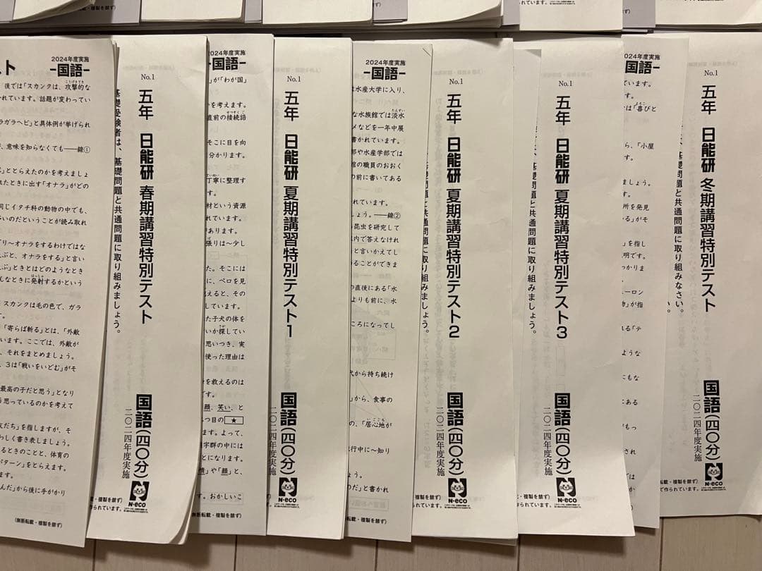 日能研　2024年度　5年　学習力育成テスト　春期講習　夏期講習　冬期講習