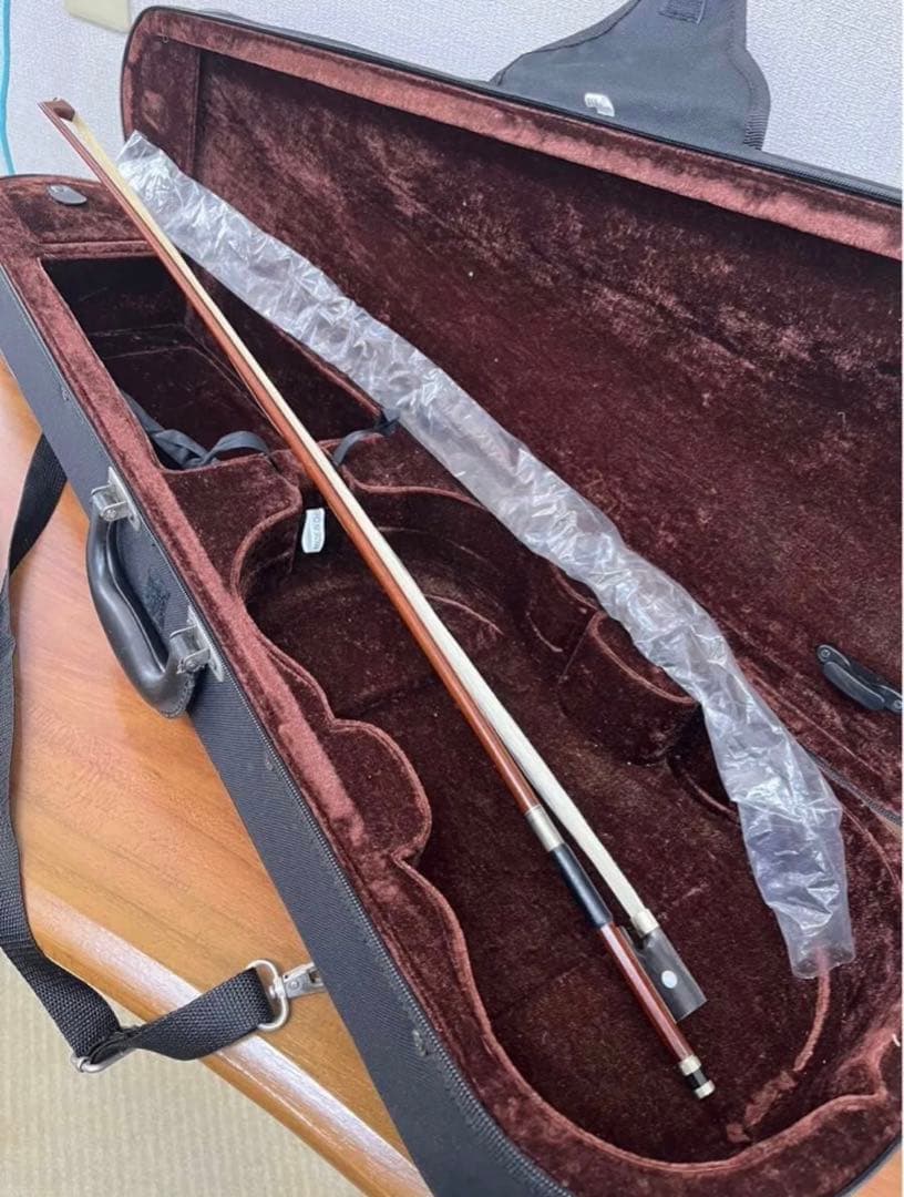 【新品】バイオリン CARLO GIORDANO/VS-1 (4/4サイズ)