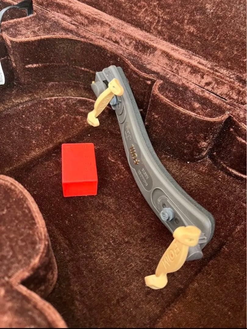 【新品】バイオリン CARLO GIORDANO/VS-1 (4/4サイズ)