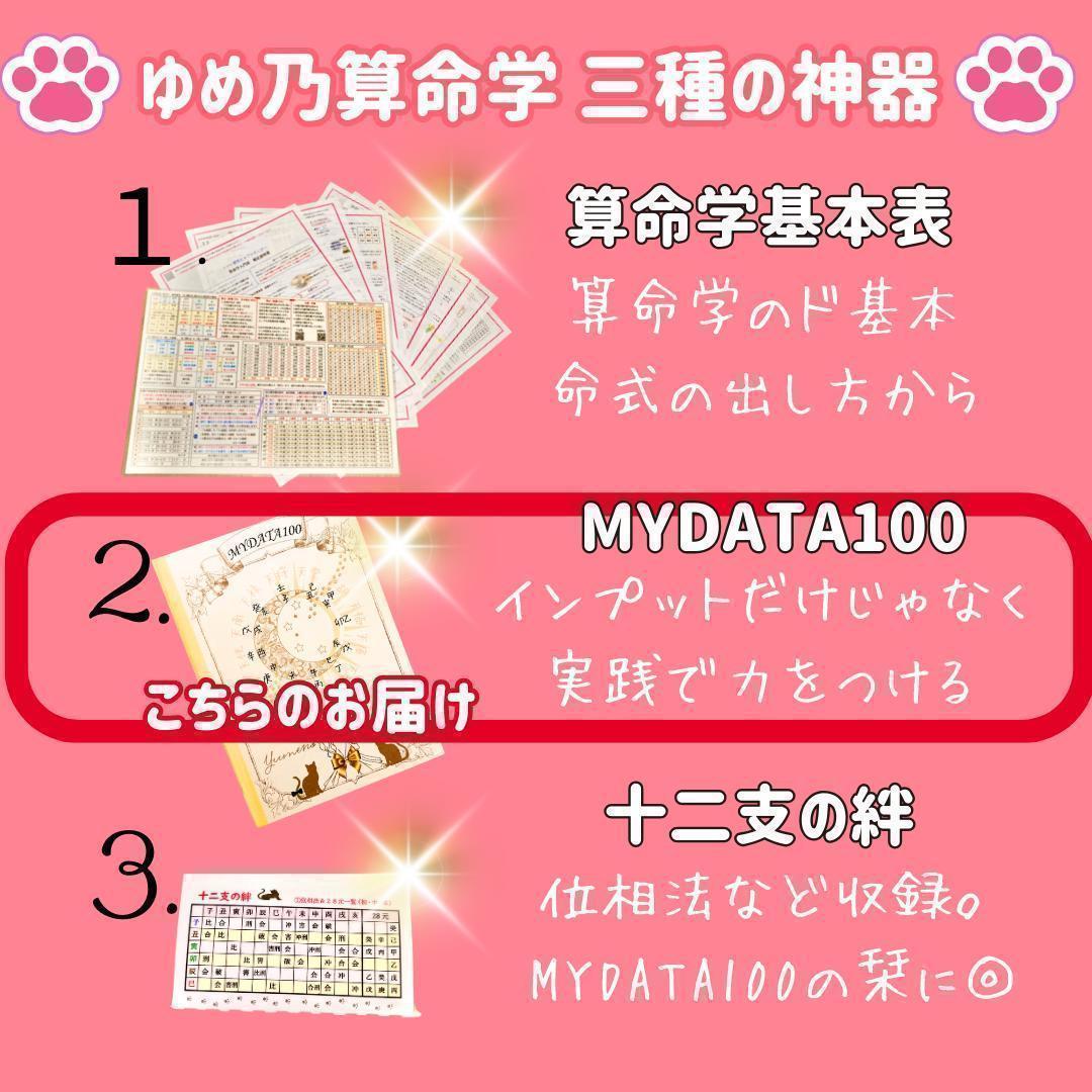 【￥960引】ゆめ乃算命学　あなたが作る「MY DATA100」　　独学　鑑定