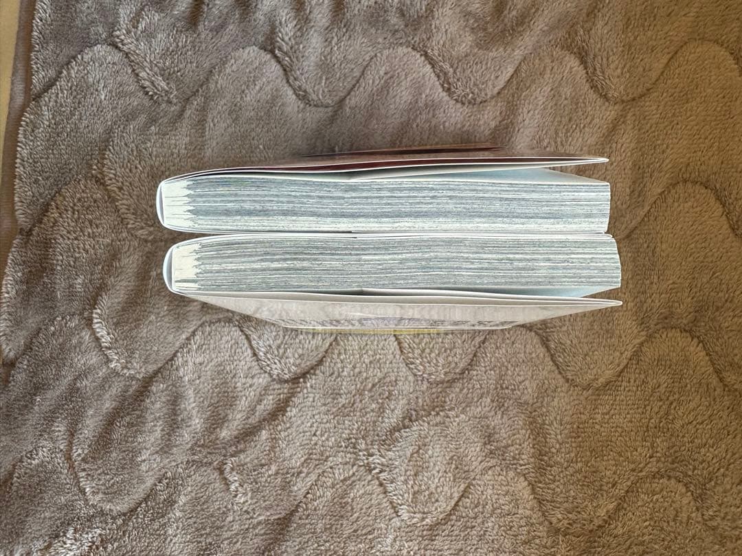 ウィンドブレイカー