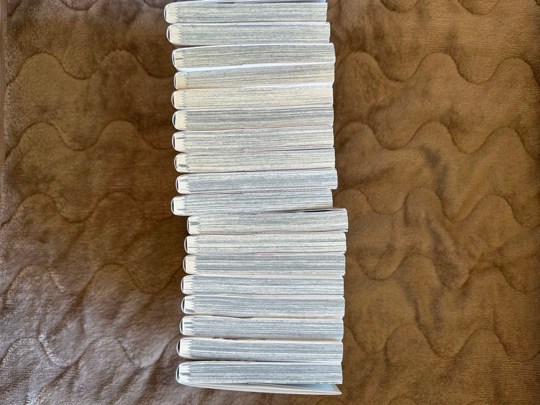 ウィンドブレイカー