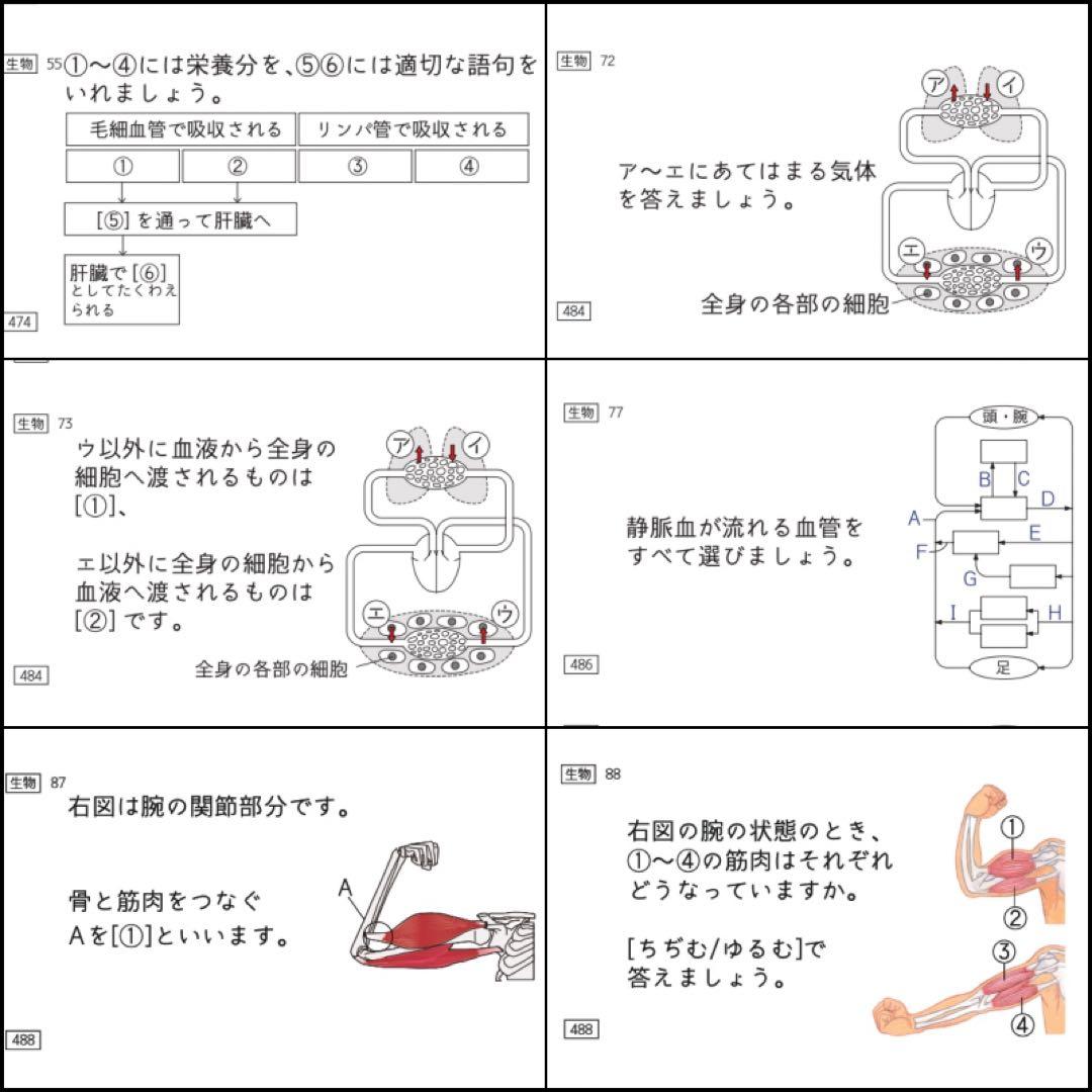 中学受験　暗記カード　理科 　生物　サピックス　予習シリーズ　コアプラス