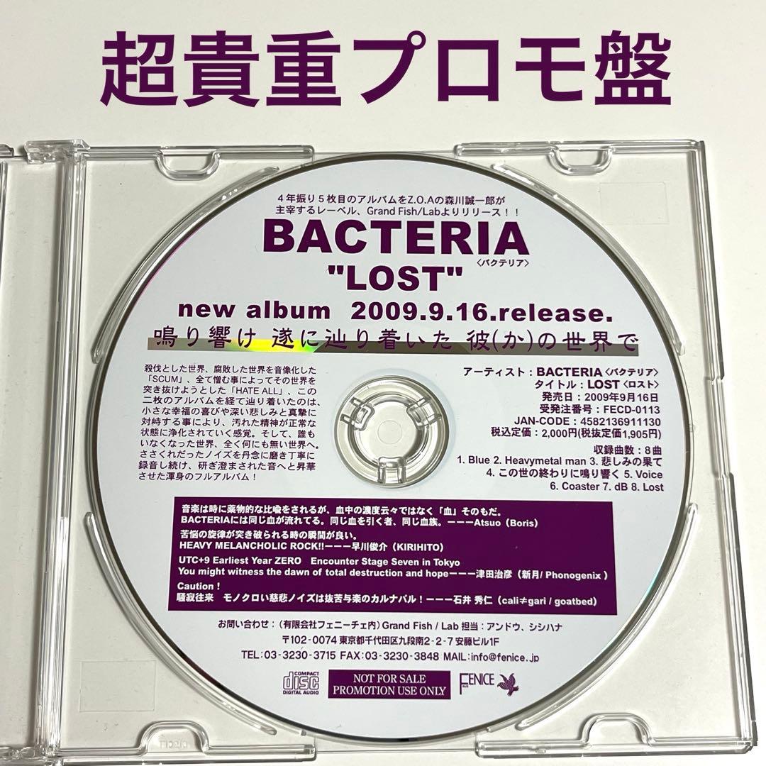 【超貴重プロモ盤】 BACTERIA / LOST