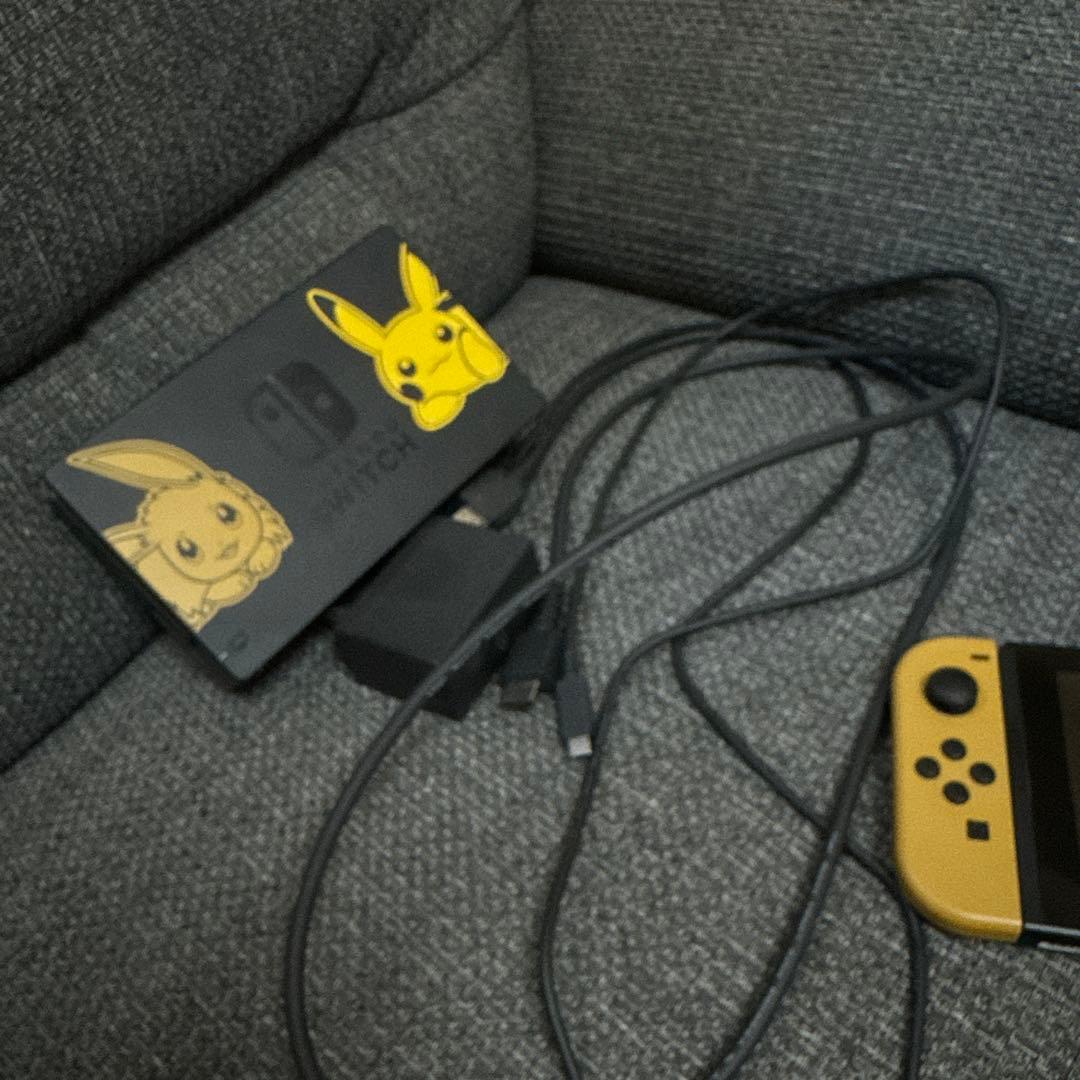 【ゼロワンワン】Nintendo Switchピカブイデザイン