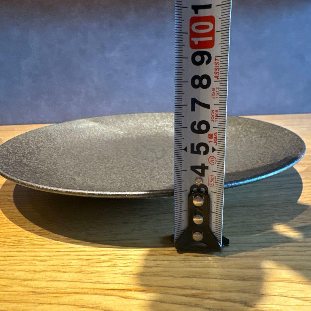 カネスズ　kanesuzu 皿　悠玄24cm 9枚セット