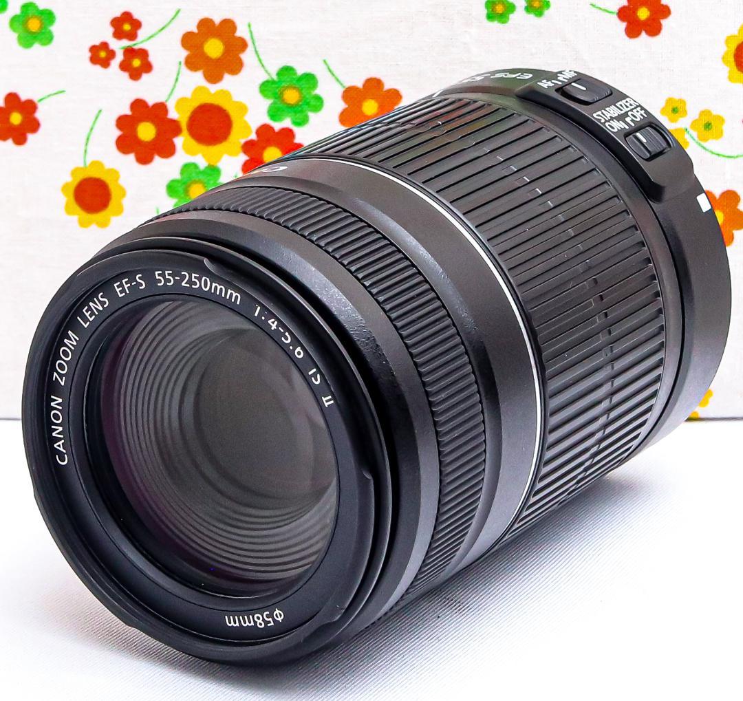 美品 Canon EF-S 55-250mm IS Ⅱ☆手振れ補正付☆望遠レンズ