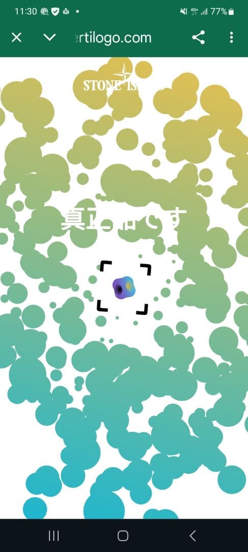 Stone  ストーンアイランド カーゴパンツ ブラック W30