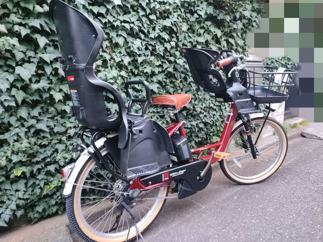 大容量12.3ahバッテリー カラーコーデ パス クルー 3人乗り