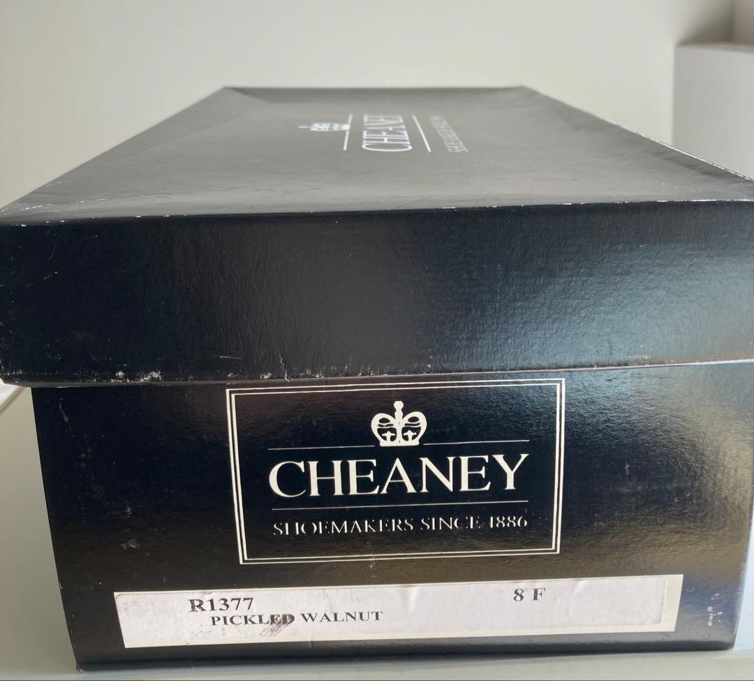 新品チーニー　ホワイト、ブラウンコンビ　26