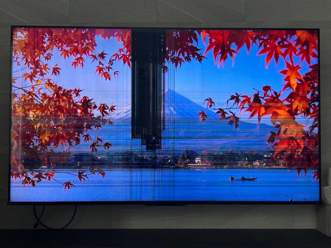 regza ジャンク品 65Z770L レグザ 液晶割れ