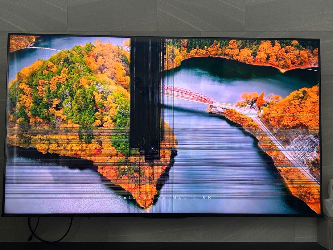 regza ジャンク品 65Z770L レグザ 液晶割れ