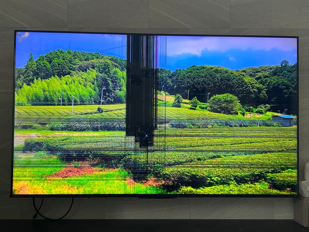 regza ジャンク品 65Z770L レグザ 液晶割れ