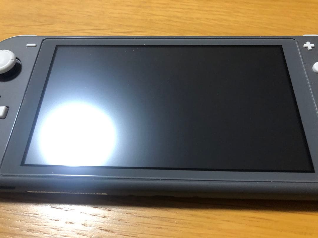Nintendo Switch Lite グレー 本体 充電器付き【即日発送】